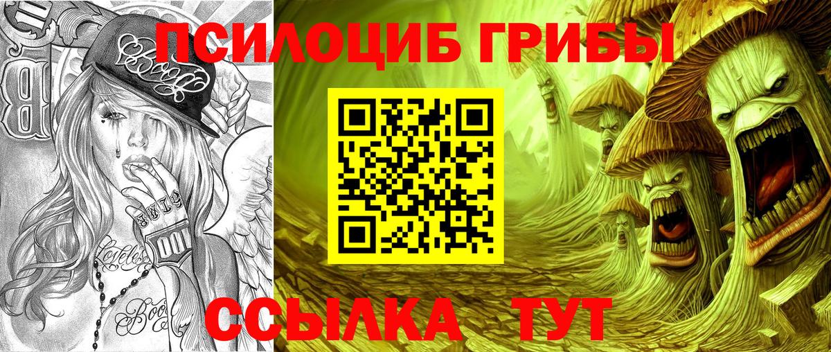 Галлюциногенные грибы MAGIC MUSHROOMS Печора
